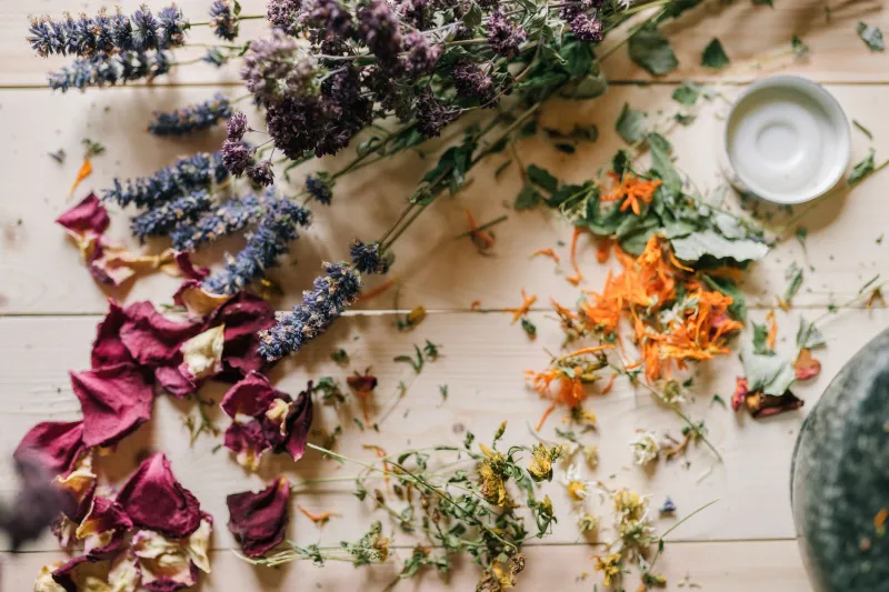 8 Eastern European Remedies With Real Science Behind Them That Most Americans Have Never Heard Of