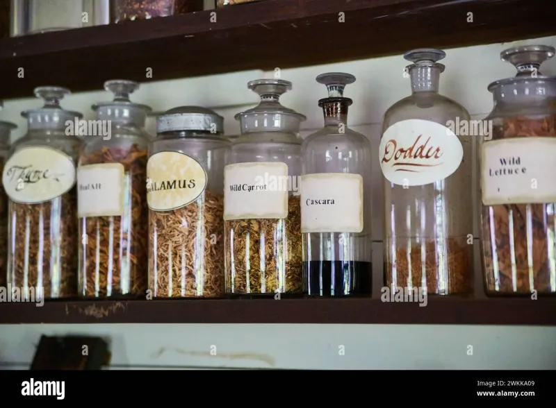 Seven Habits From the Old Vaistinė That Modern Evidence Actually Supports